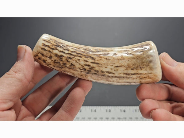 Stag Handle #77