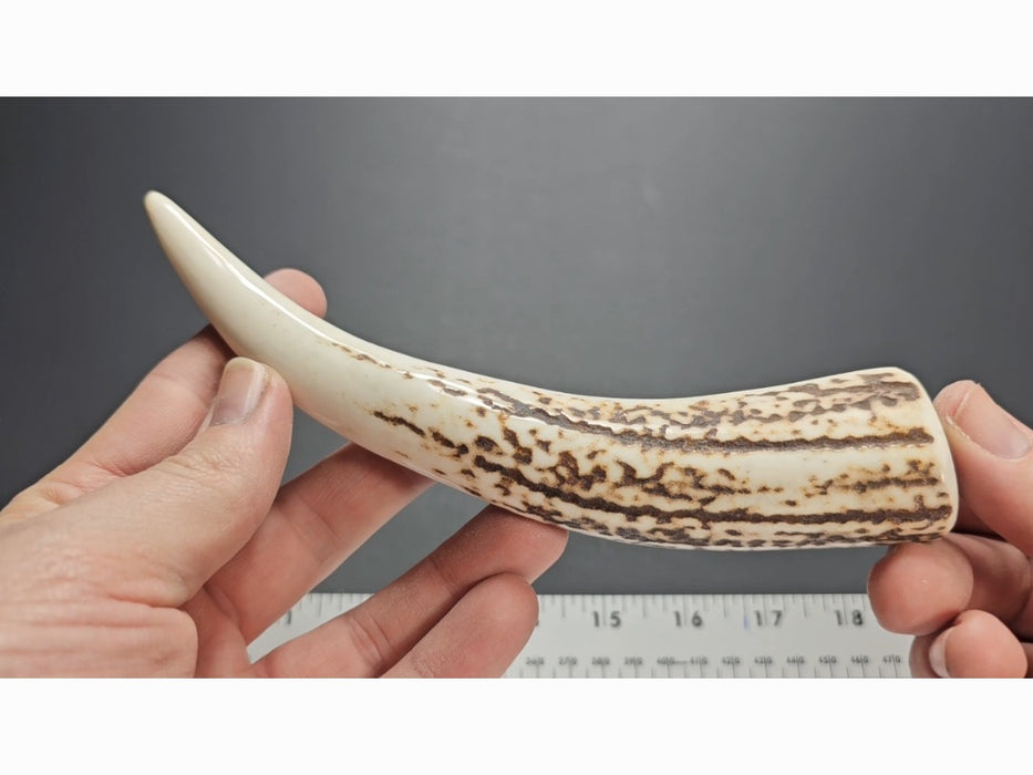 Stag Handle #74