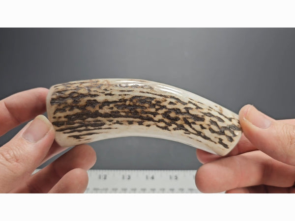 Stag Handle #81