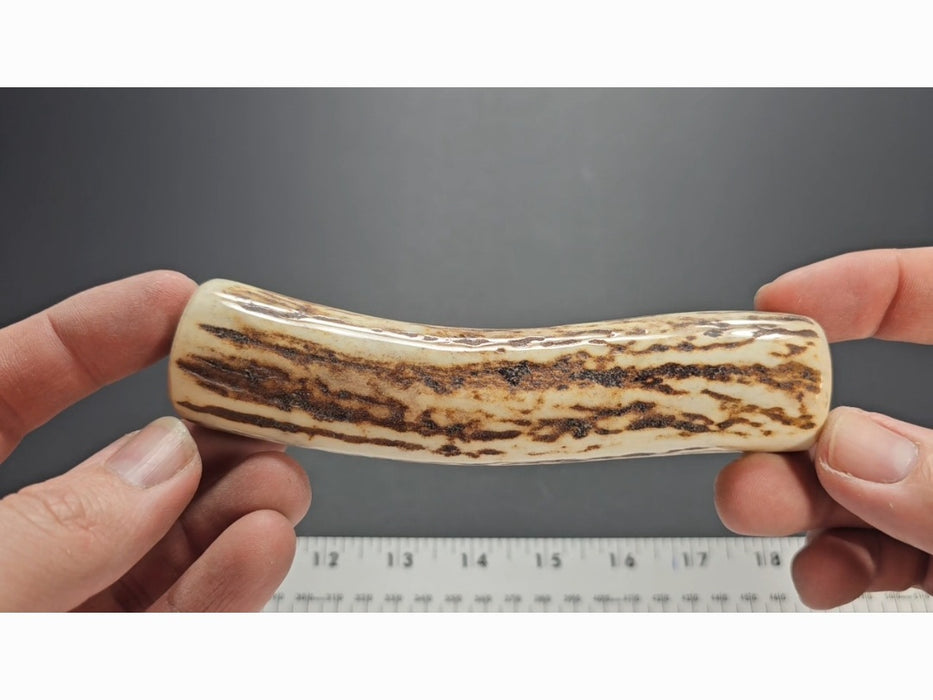 Stag Handle #82