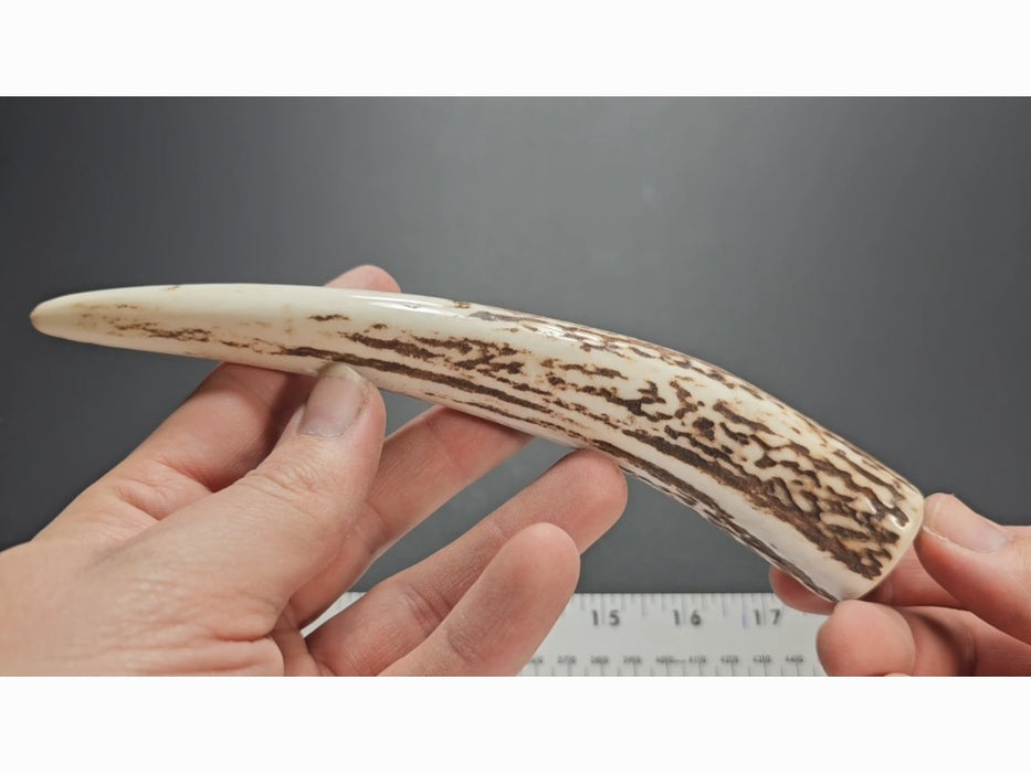 Stag Handle #84