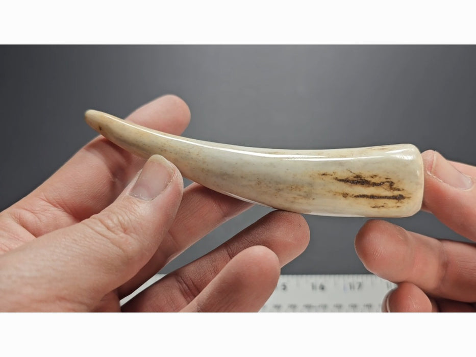 Stag Handle #85