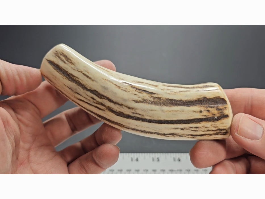 Stag Handle #88