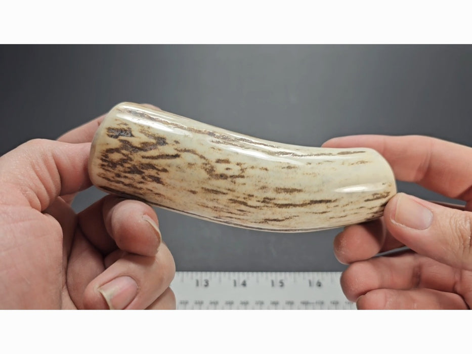 Stag Handle #89