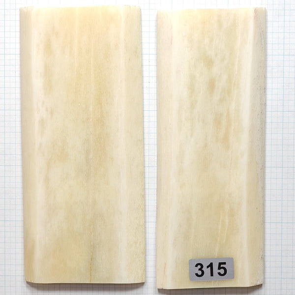 Giraffe Bone scales #315