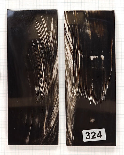 Buffalo Horn #324