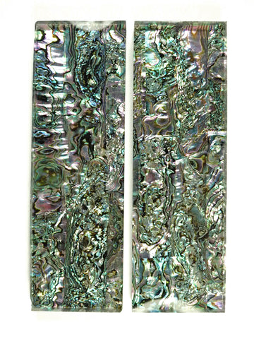 ALVS-Abalone #004