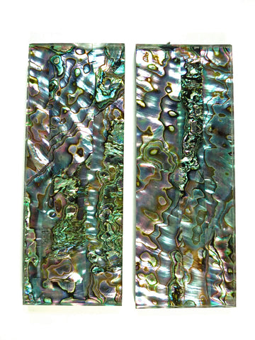 ALVS-Abalone #001